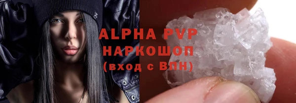 spice Осинники