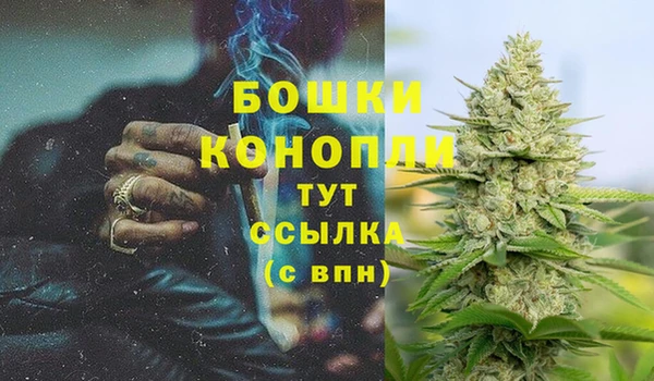 spice Осинники